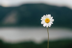 没有情人的情人节幽默说说