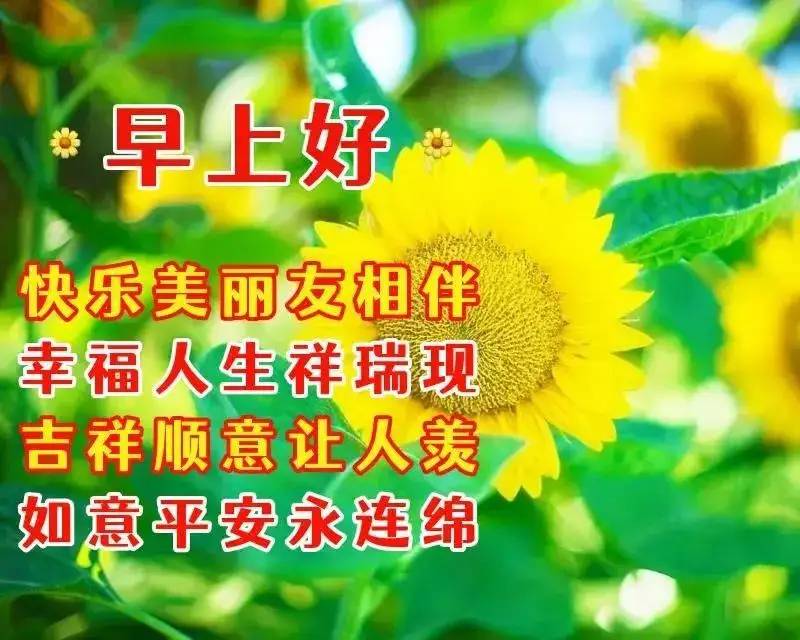 暖暖的知心话，岁月一片静好，朋友，早安