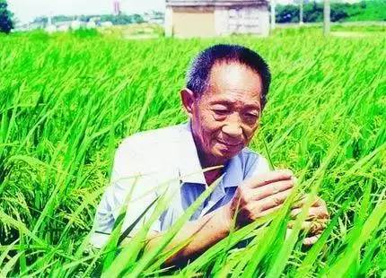 《学习社会主义核心价值观有感》