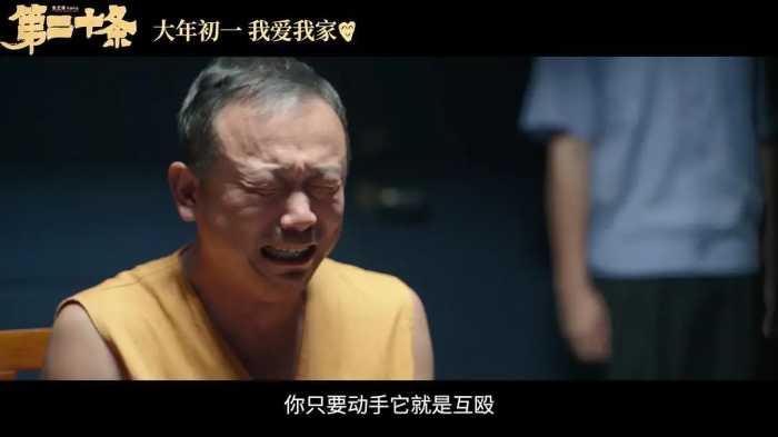 《第二十条》中赵丽颖脸上的红，是村霸“李宏伟”强暴留下的屈辱