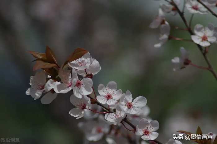 烫一壶冰雪时光等着你