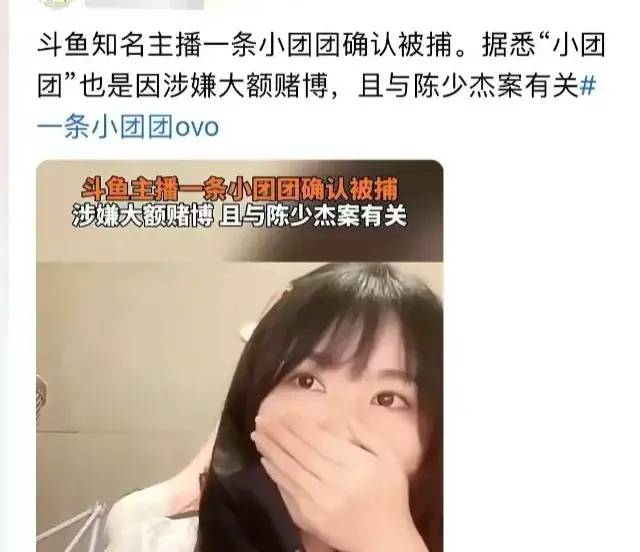 确认了！网红“一条小团团”被逮捕，知情人透露细节，她自食其果